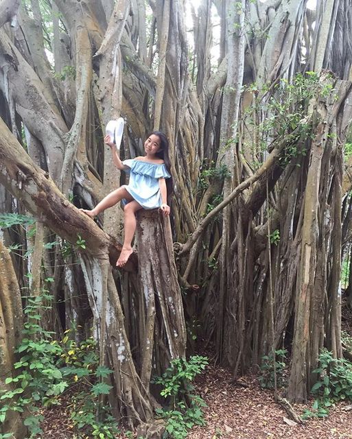 On the big banyan tree in t...