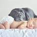 5月13日は愛犬の日。赤ちゃんとペットの暮らし方