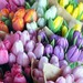 【動画付き】季節の折り紙ー３月の花の折り紙ー
