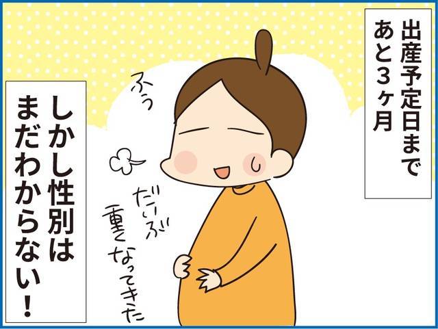 妊娠出産あるある漫画 出産予定日まであと３ヶ月 まだわからない性別 元気ママ応援プロジェクト