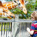 【0～3歳】子供と一緒に動物園♪より楽しむための事前準備をご紹介！			