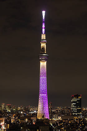 この冬行きたい人気ナンバー1は 東京スカイツリー きらめく夜景絶景ランキング発表 元気ママ応援プロジェクト