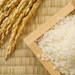 夏場のお米の保存方法と炊き方を徹底解説！象印の3つのポイントで美味しいごはんを食べよう