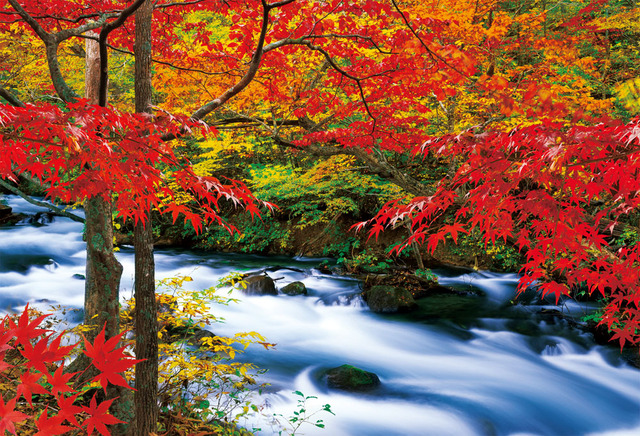 奥入瀬渓流|大自然と四季を感じる青森県の絶景スポット (9610)