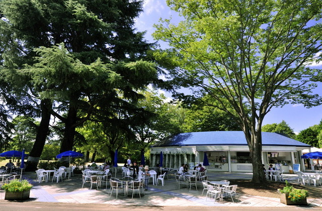 渓流広場レストラン | 国営昭和記念公園公式ホームページ (29840)