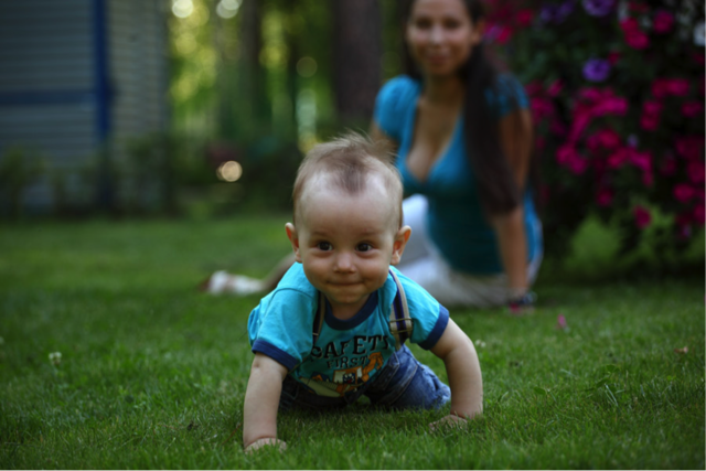 [フリー写真] 庭をハイハイしている赤ちゃんと見守る母親でアハ体験 -  GAHAG | 著作権フリー写真・イラスト素材集 (102396)