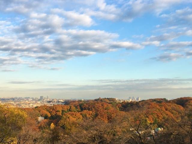 『枡形山展望台』から眺める全景