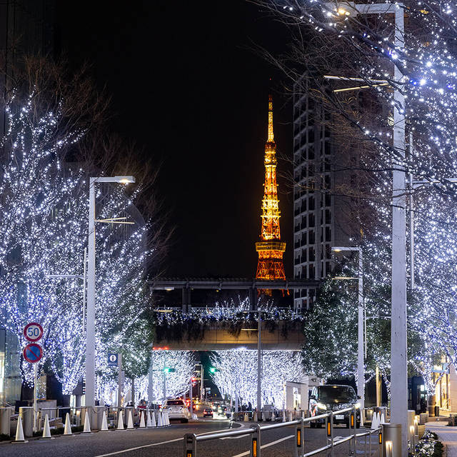 けやき坂イルミネーション｜ROPPONGI HILLS CHRISTMAS 2022｜六本木ヒルズクリスマス 2022 (329404)