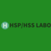 HSP/HSS LABOオリジナルの簡易版HSP/HSSセルフチェックテスト| HSS型HSPの才能・強みを見つけて伸ばすブレーん塾