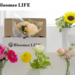 お花のサブスク Bloomee LIFE (ブルーミーライフ) | お花の定期便で、花のある暮らし