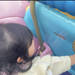 【現地レポート】2歳未満の子連れママ必見！ディズニーシーの周り方のポイント - 元気ママ応援プロジェクト