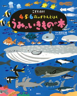 こども百科 4・5・6歳のずかんえほん うみのいきものの本  (394519)